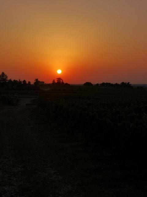 Villa L Escale Des Vignes Gite Proche Saint Emilion Chateau Beynat Exterior foto